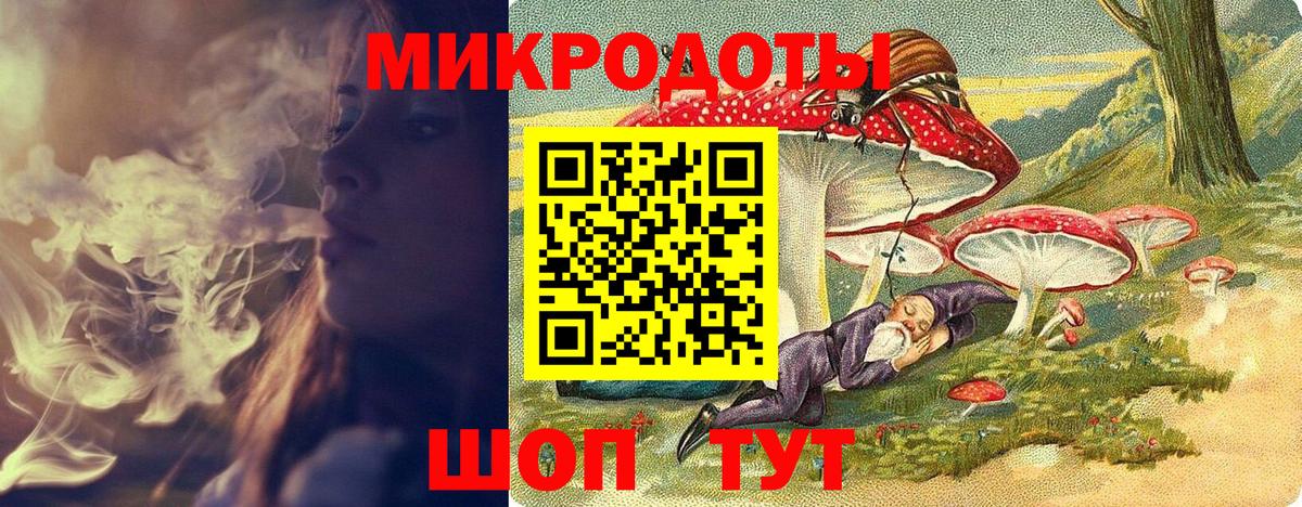 Псилоцибиновые грибы Psilocybe Магадан